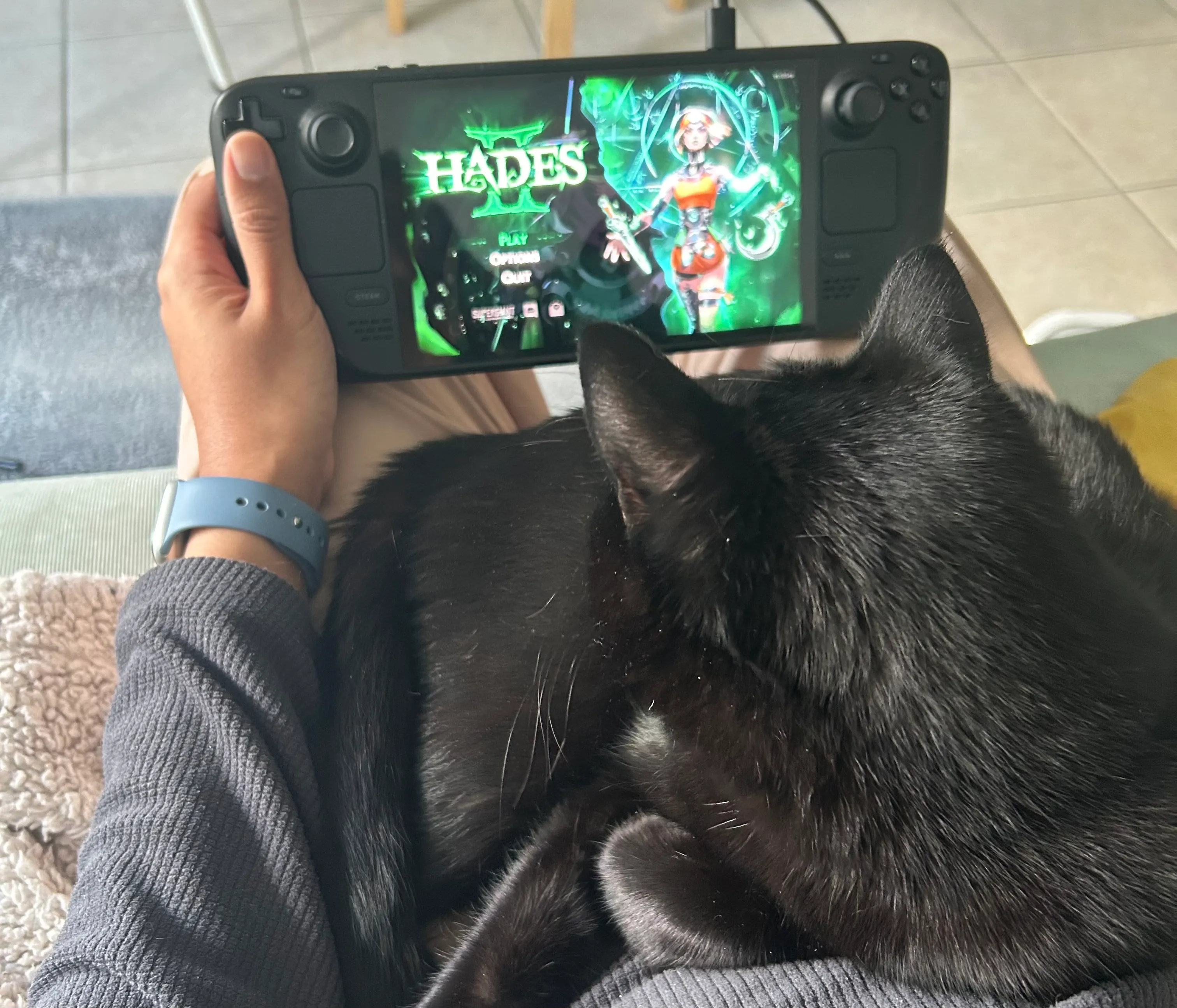 Je joue sur la console steamdeck, mon chat est installé sur mes jambes et regarde l&#x27;écran